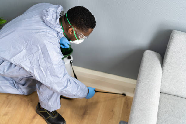 Real Estate Pest Inspections in Denver, PA